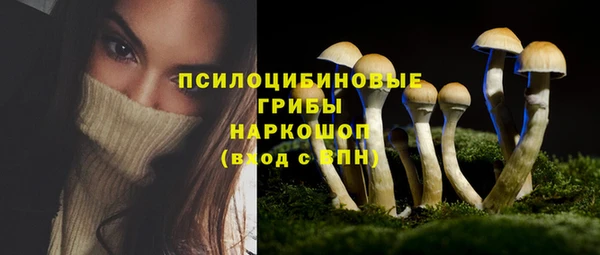 дживик Красноперекопск