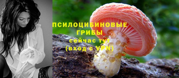 дживик Красноперекопск